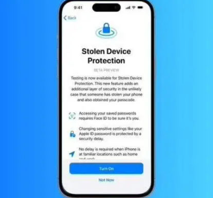 团风苹果授权维修店分享被盗设备保护功能开启方法 