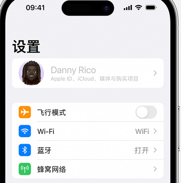 团风appleID维修服务iPhone设置中Apple ID显示为灰色无法使用