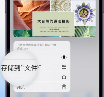 团风apple维修中心分享iPhone文件应用中存储和找到下载文件