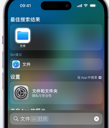 团风apple维修中心分享iPhone文件应用中存储和找到下载文件 