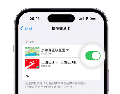 团风apple维修点分享iPhone上更换Apple Pay快捷交通卡手绘卡面 