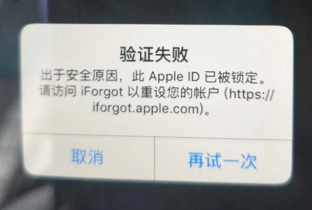 团风iPhone维修分享iPhone上正常登录或使用AppleID怎么办 