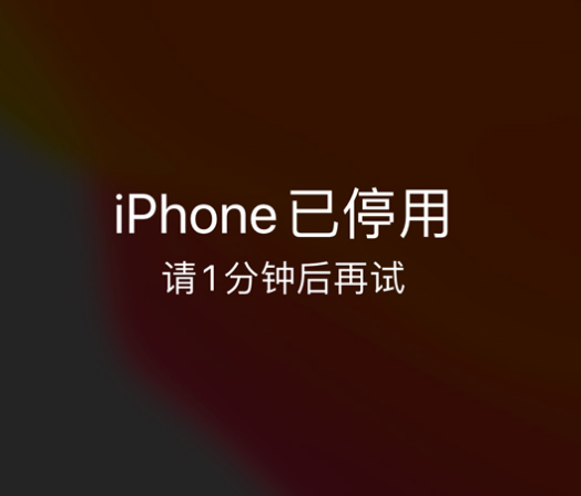 团风苹果手机维修分享:iPhone 显示“不可用”或“已停用”怎么办？还能保留数据吗？ 