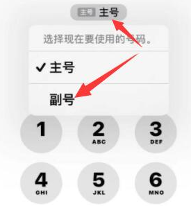 团风苹果14维修店分享iPhone 14 Pro Max使用副卡打电话的方法 