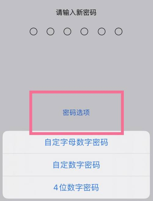 团风苹果14维修分享iPhone 14plus设置密码的方法 