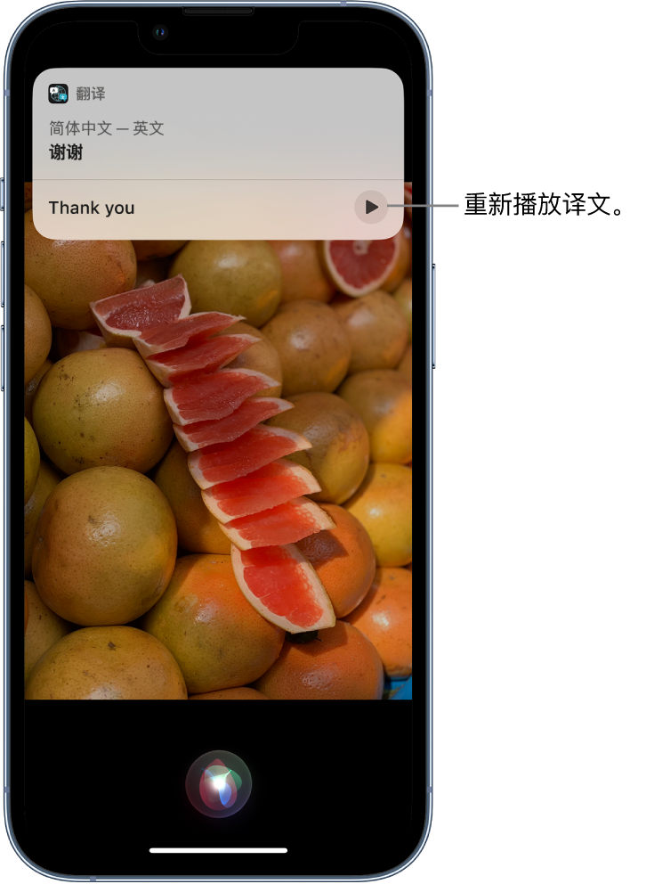 团风苹果14维修分享 iPhone 14 机型中使用 Siri：了解 Siri 能帮你做什么 