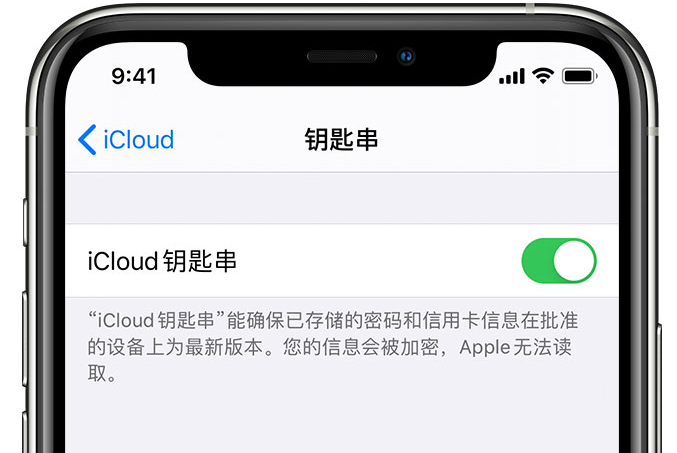 团风苹果手机维修分享在 iPhone 上开启 iCloud 钥匙串之后会储存哪些信息 