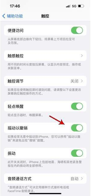 团风苹果手机维修分享iPhone手机如何设置摇一摇删除文字 