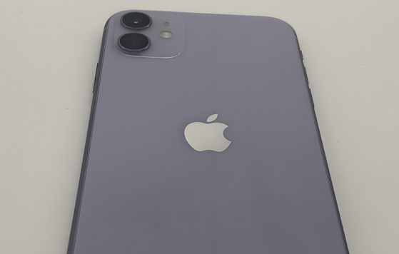 团风苹果11系统维修分享iPhone11手机系统崩溃无法开机如何解决 